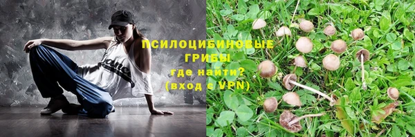 СК Нея