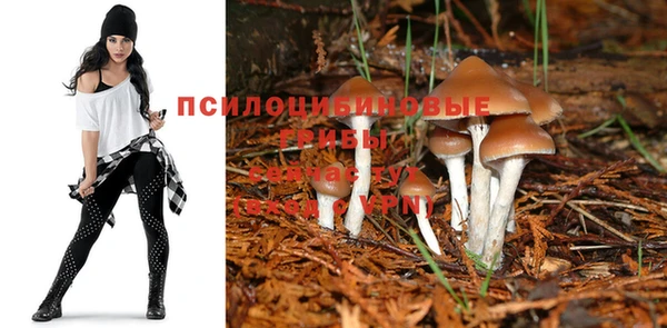 соль курить ск Нефтегорск